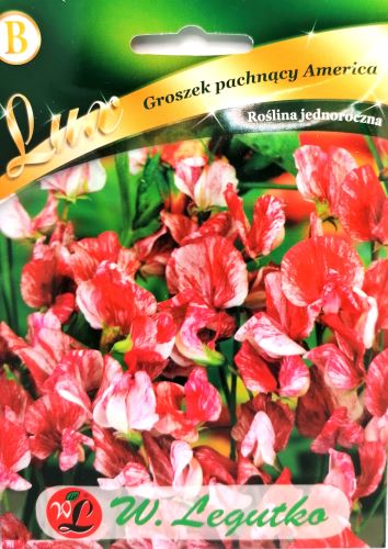 Sweet Pea America Seeds